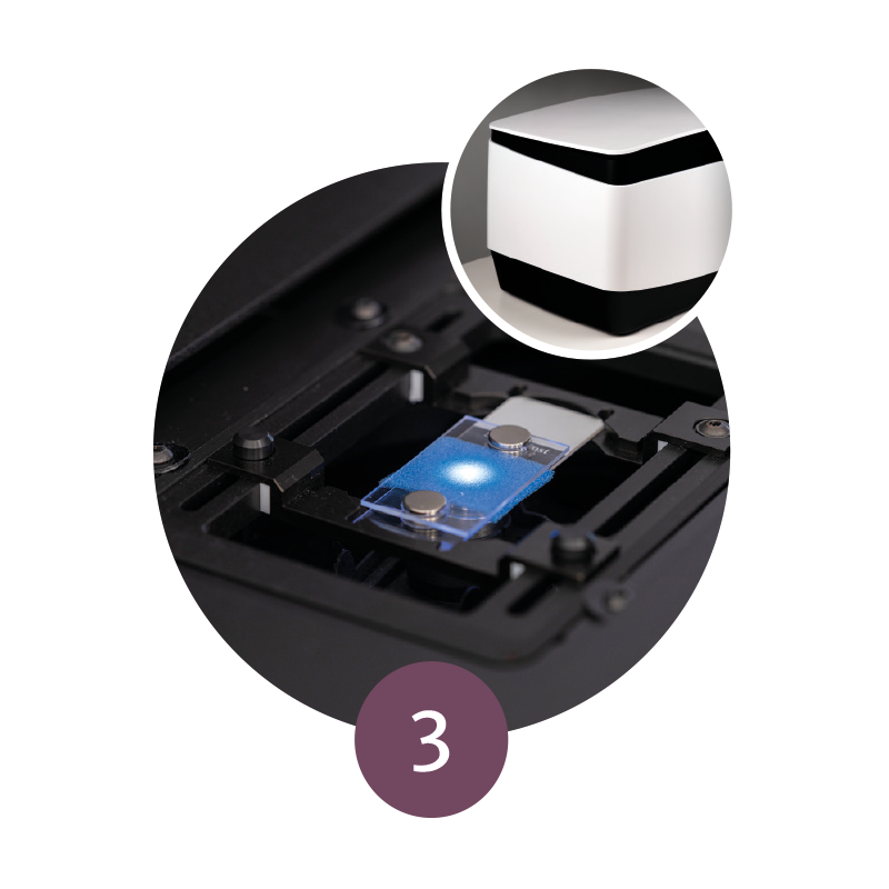 Confocal scanning process with the VivaScope 2500