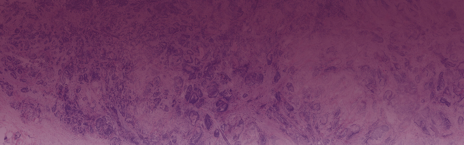 Centers VivaScope ex vivo microscope VivaScope 2500